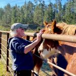 Covell Pecoraro Clyde ()